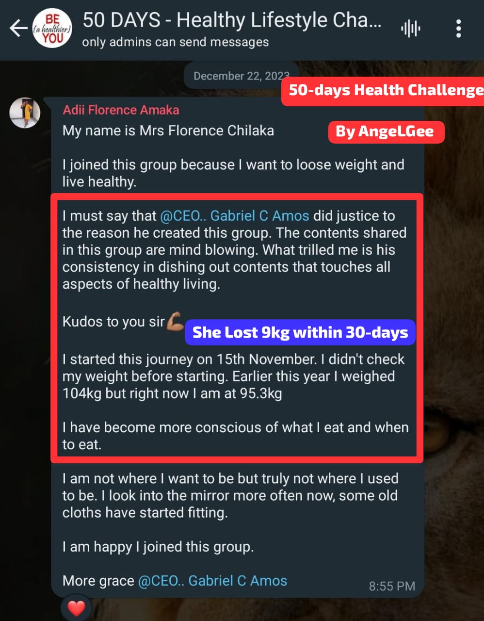 Screenshot 17