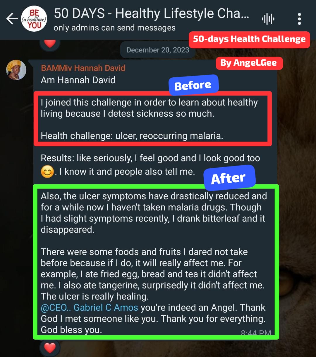 Screenshot 19