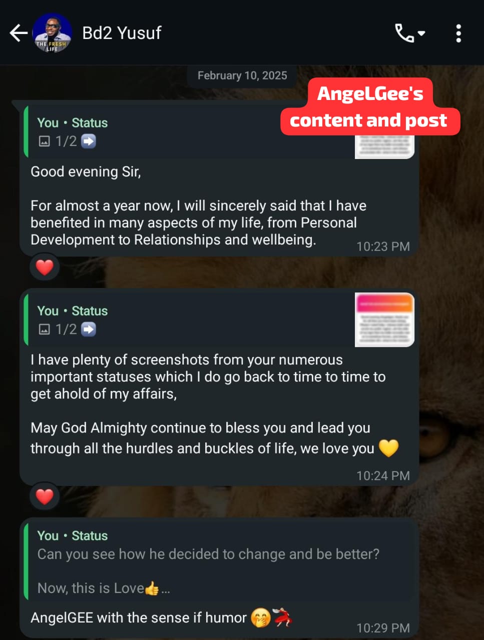 Screenshot 21